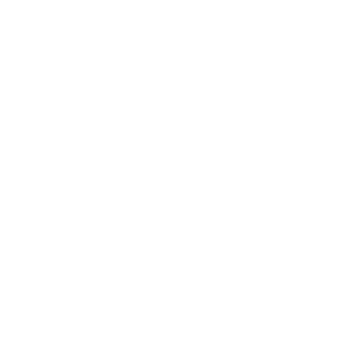 Venzi